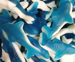 tumblr_m689h2zCQX1qffkwto1_250_thumb