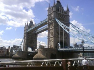 230421_503062217951_7581_n