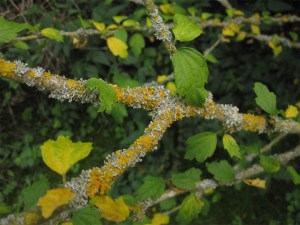 IMG_9677
