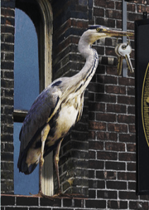 Screen shot 2013-10-31 at 14.35.14