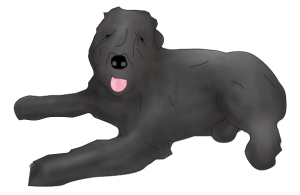 Screen Shot 2014-11-08 at 10.59.51